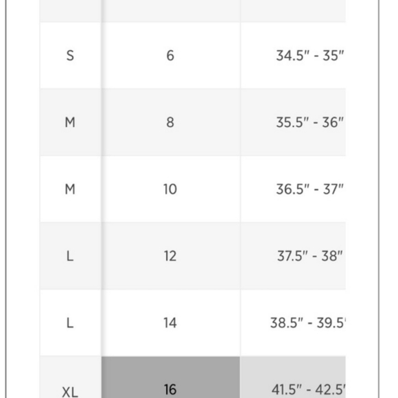 ALL FENIX- ANTHROPOLOGIE Cheetah Sports Bra, Size Large NWT - Picture 9 of 9